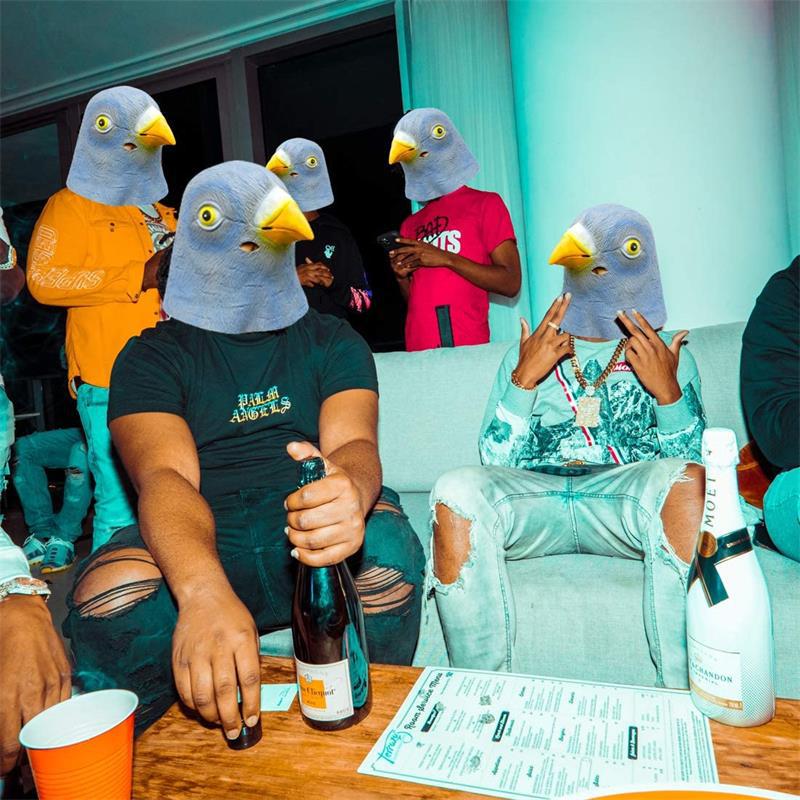 Masque de pigeon, costume fant - Skincare Pigeon avis et prix